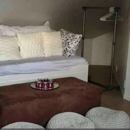 Apartment Spacious Penthouse In The Center Of